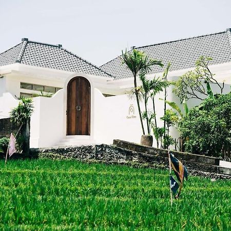 New Design Villa Casa Alma 3Bdr With Private Pool, Canggu Buitenkant foto