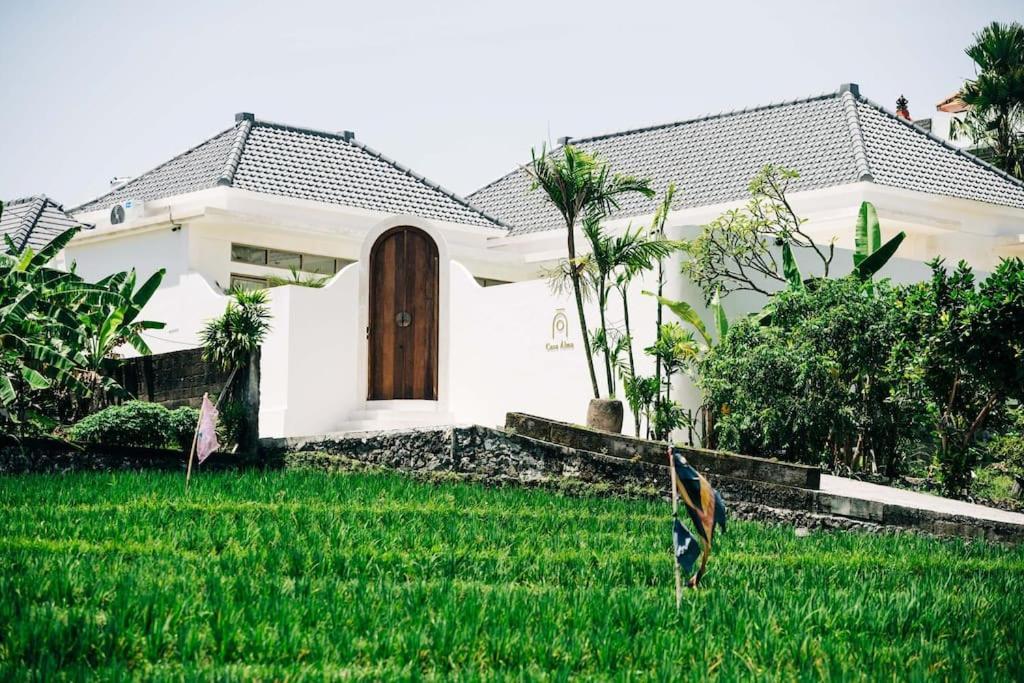 New Design Villa Casa Alma 3Bdr With Private Pool, Canggu Buitenkant foto